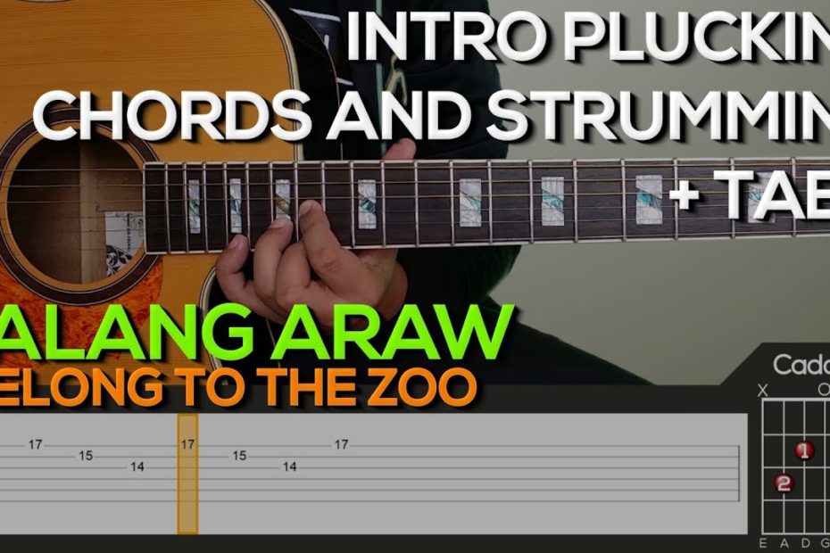 I Belong To The Zoo - Balang Araw Guitar Tutorial [INTRO, CHORDS AND STRUMMING + TABS]