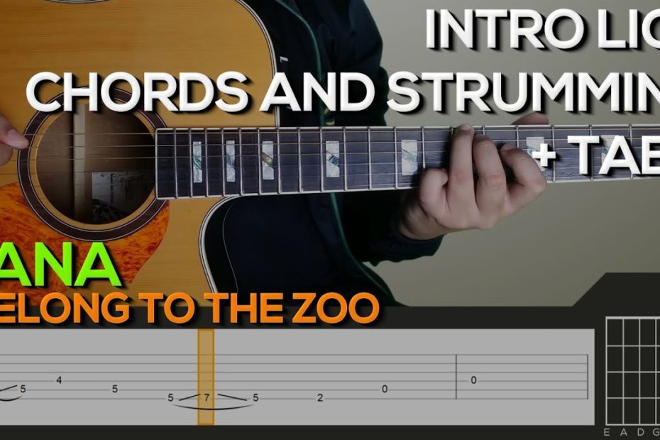I Belong To The Zoo - Sana Guitar Tutorial [INTRO, CHORDS AND STRUMMING + TABS]