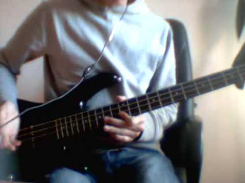Red Hot Chili Peppers-Stone Cold Bush (bass solo cover)