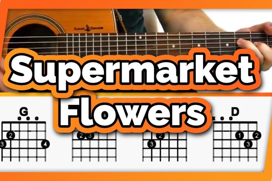 Supermarket Flowers Guitar Tutorial (Ed Sheeran) Easy Chords Guitar Lesson